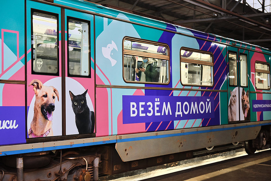 С помощью QR-кодов в московском метро можно завести питомца