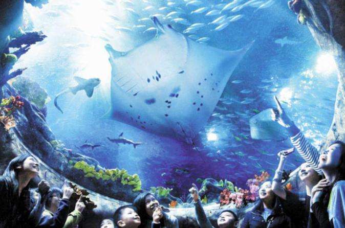 Оушен парк в гонконге